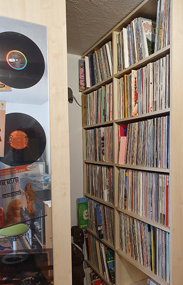 Plattensammlung Vinyl - Alpenstudio.at